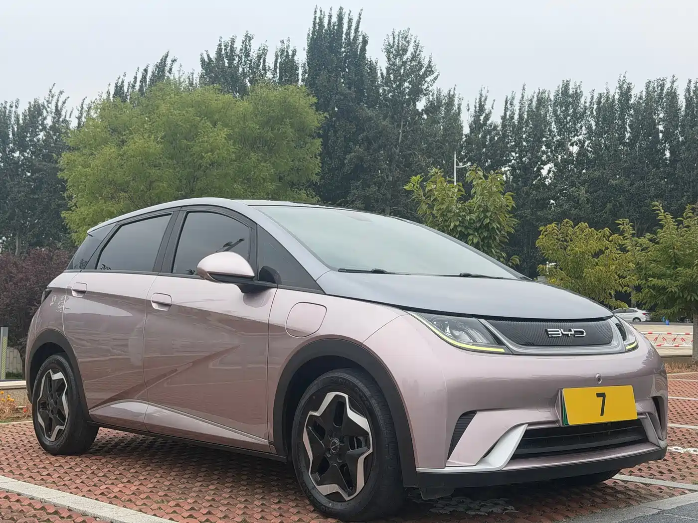 BYD Dolphin 2021 2021 Model 405km Fashion Edition