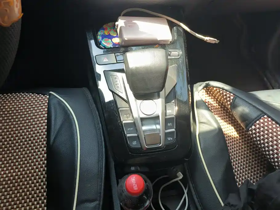 BYD Yuan New Energy 2019 EV535 Smart Connected Trend Leader Type фото 16