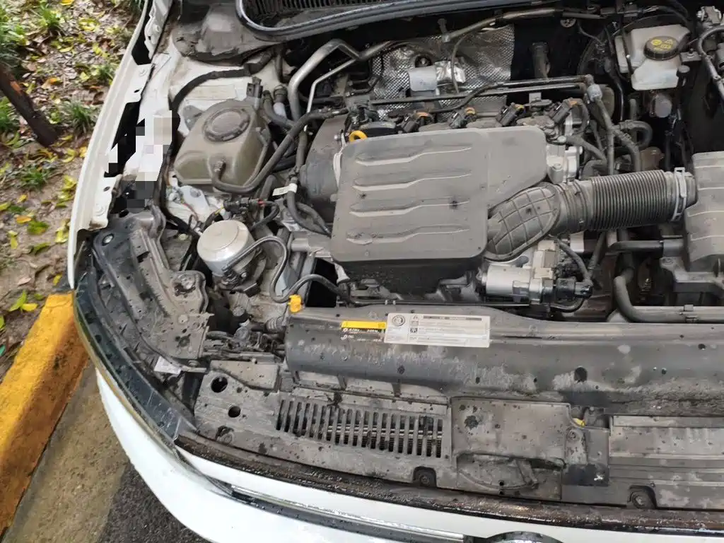 Volkswagen Polo 2024 2023 Facelift Plus 1.5L Auto Joyful Living Edition