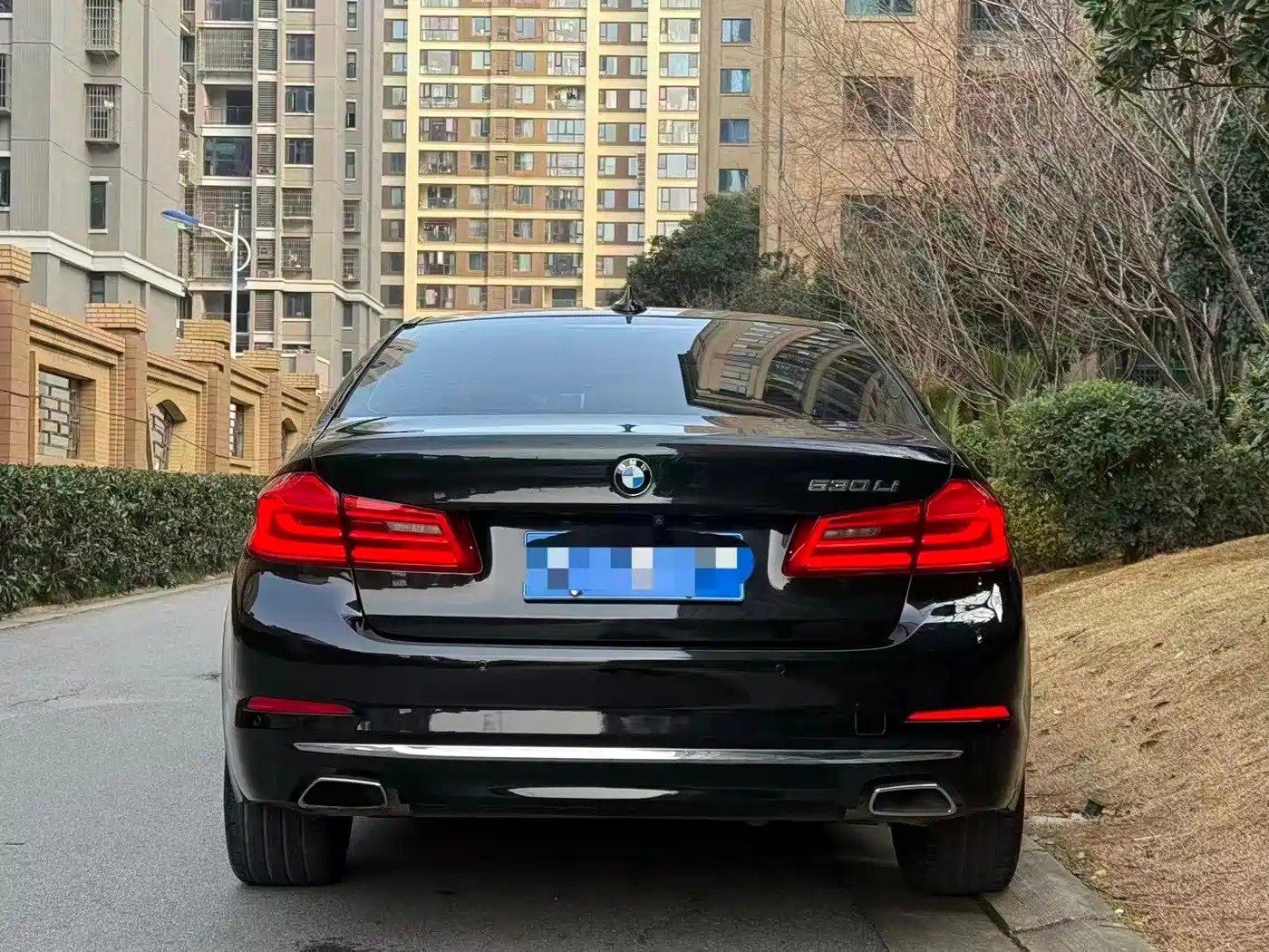 BMW 5 Series 2020 530Li Leading Luxury Package фото 4