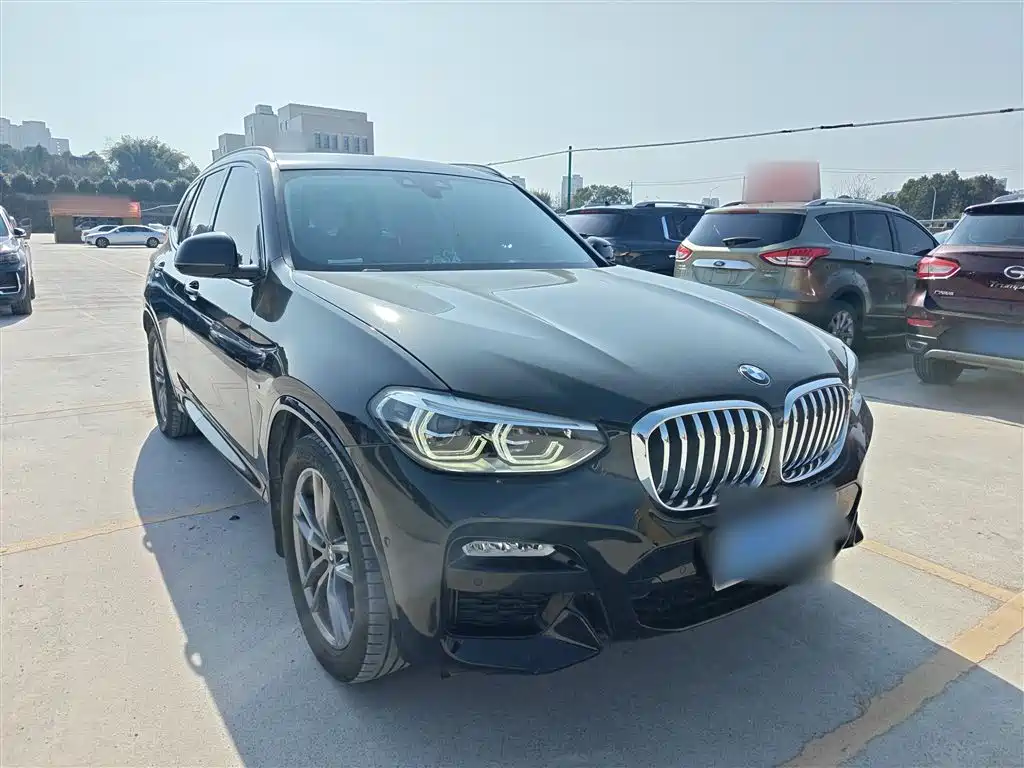 BMW X3 2018 xDrive30i Leading M Sport Package China VI фото 20
