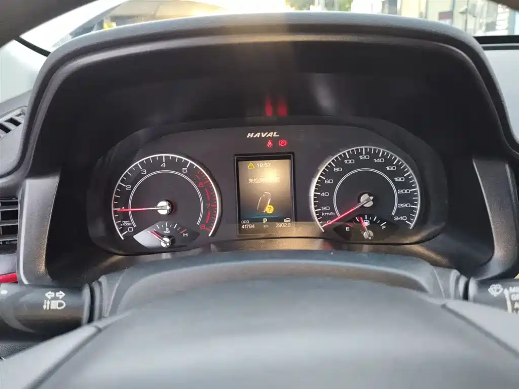 Haval H4 2019 1.5GDIT DCT Elite Smart Connection China VI фото 8