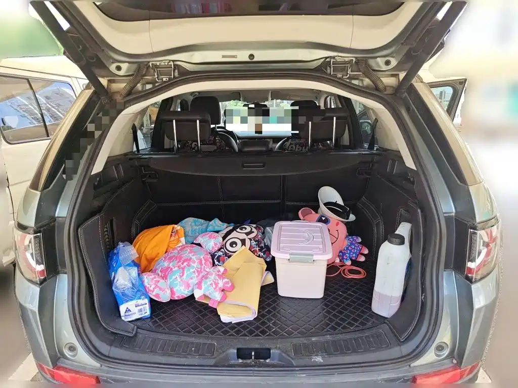 Фото 20 - Land Rover Discovery Sport