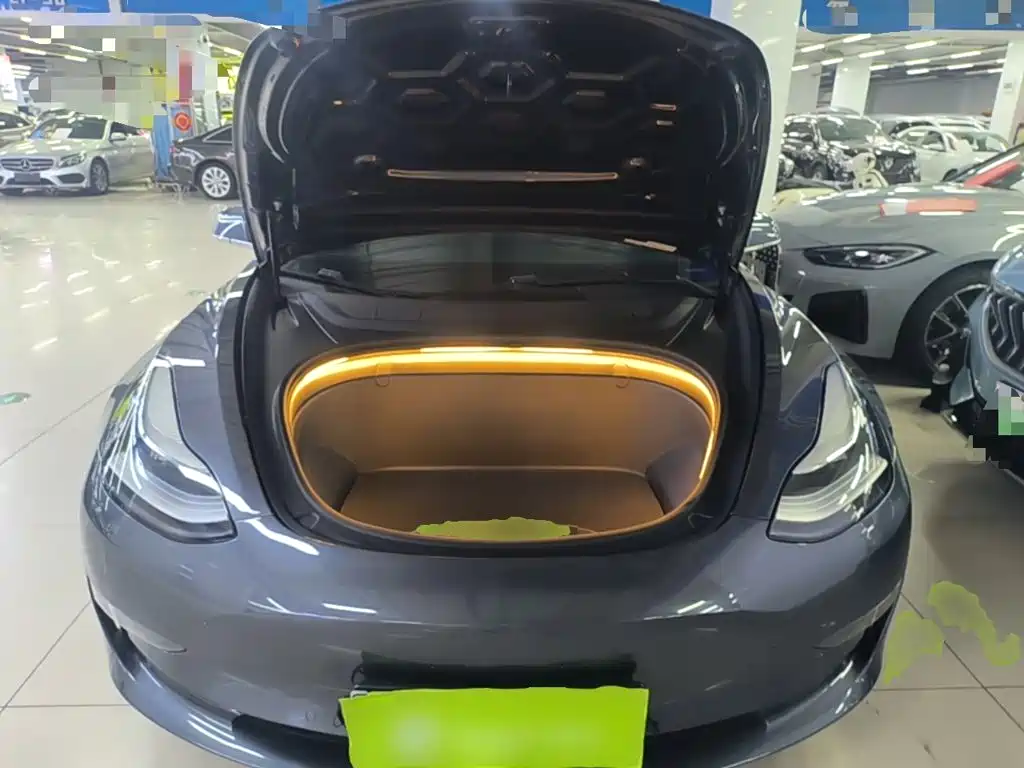 Tesla Model 3 (Import) 2019 2019 Long Range All-Wheel Drive Edition