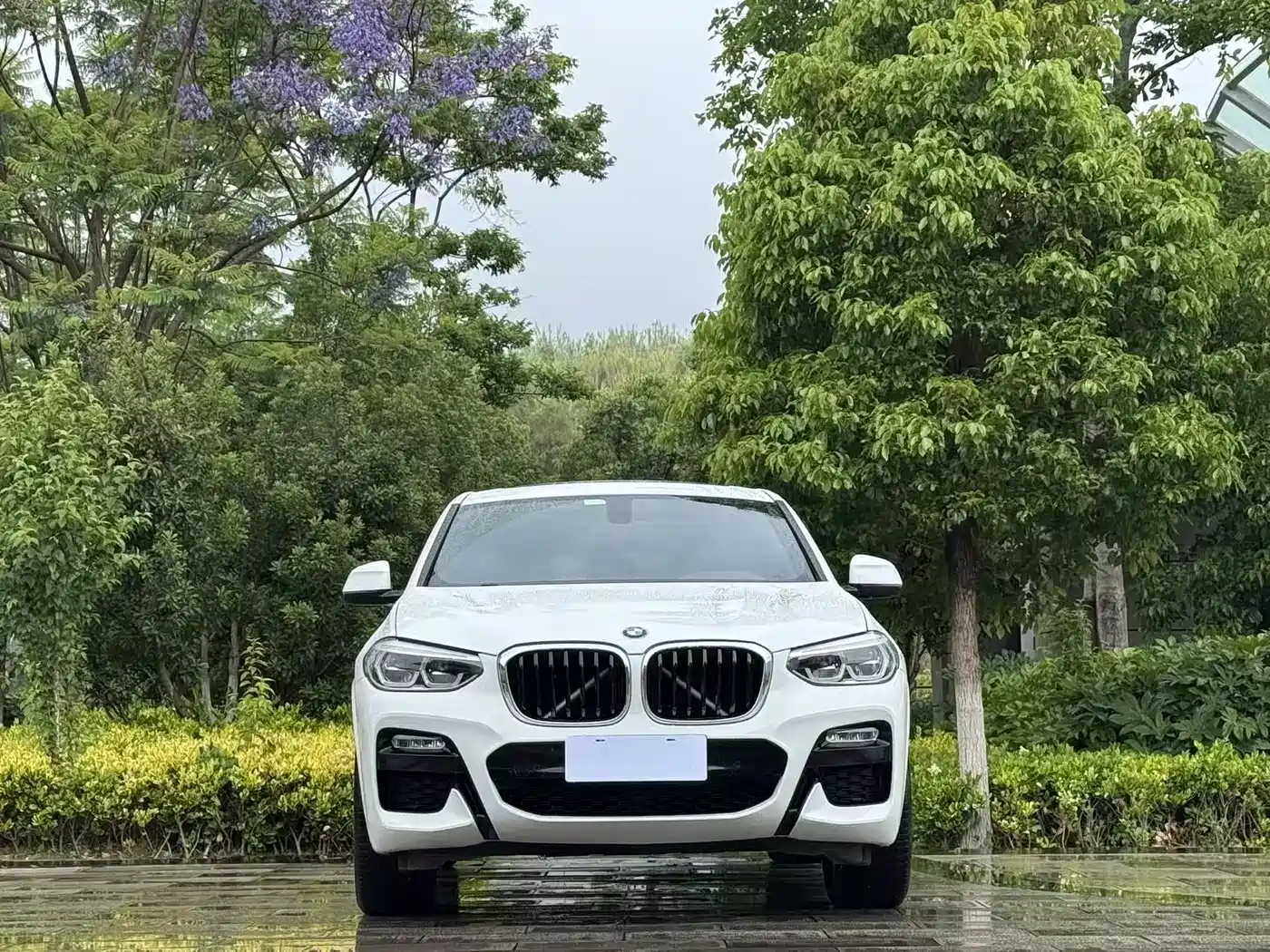 BMW X4 2019 xDrive25i M Sport Package фото 2