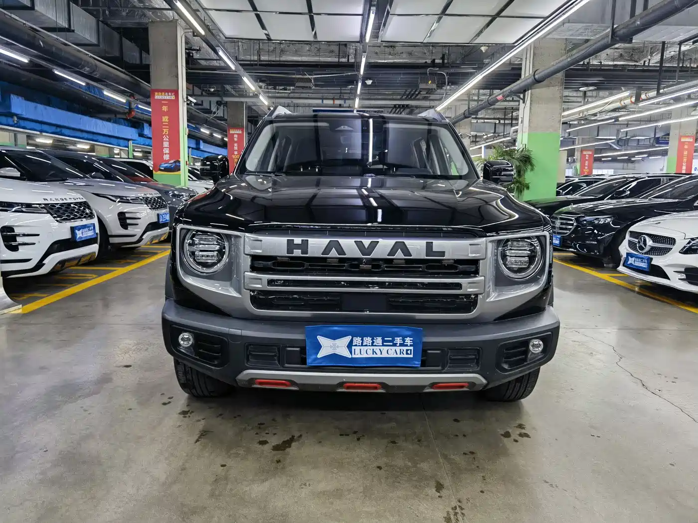 Haval Big Dog 2024 1.5T DCT Border Collie Edition фото 2