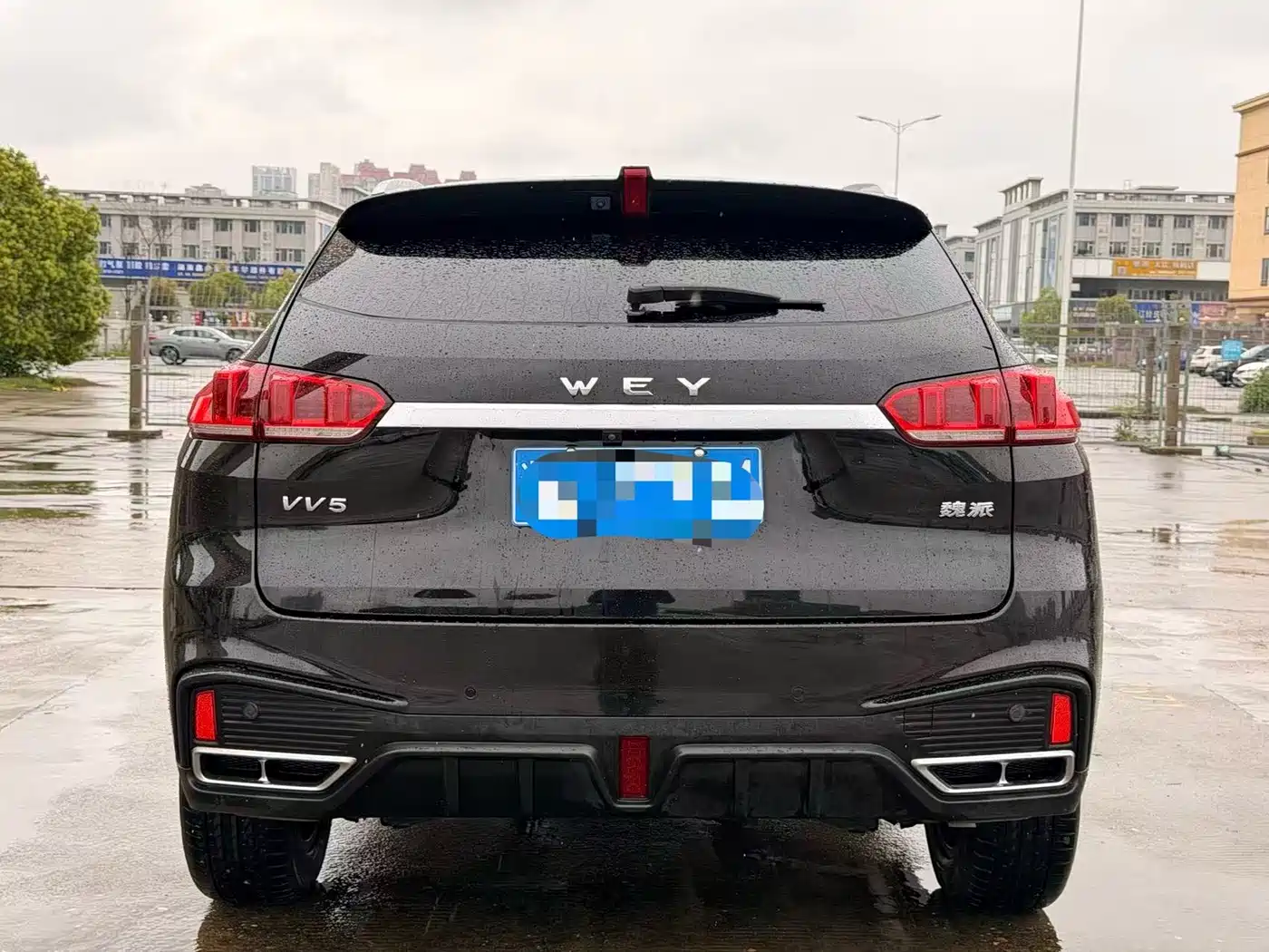 WEI PAI WEI BRAND VV5