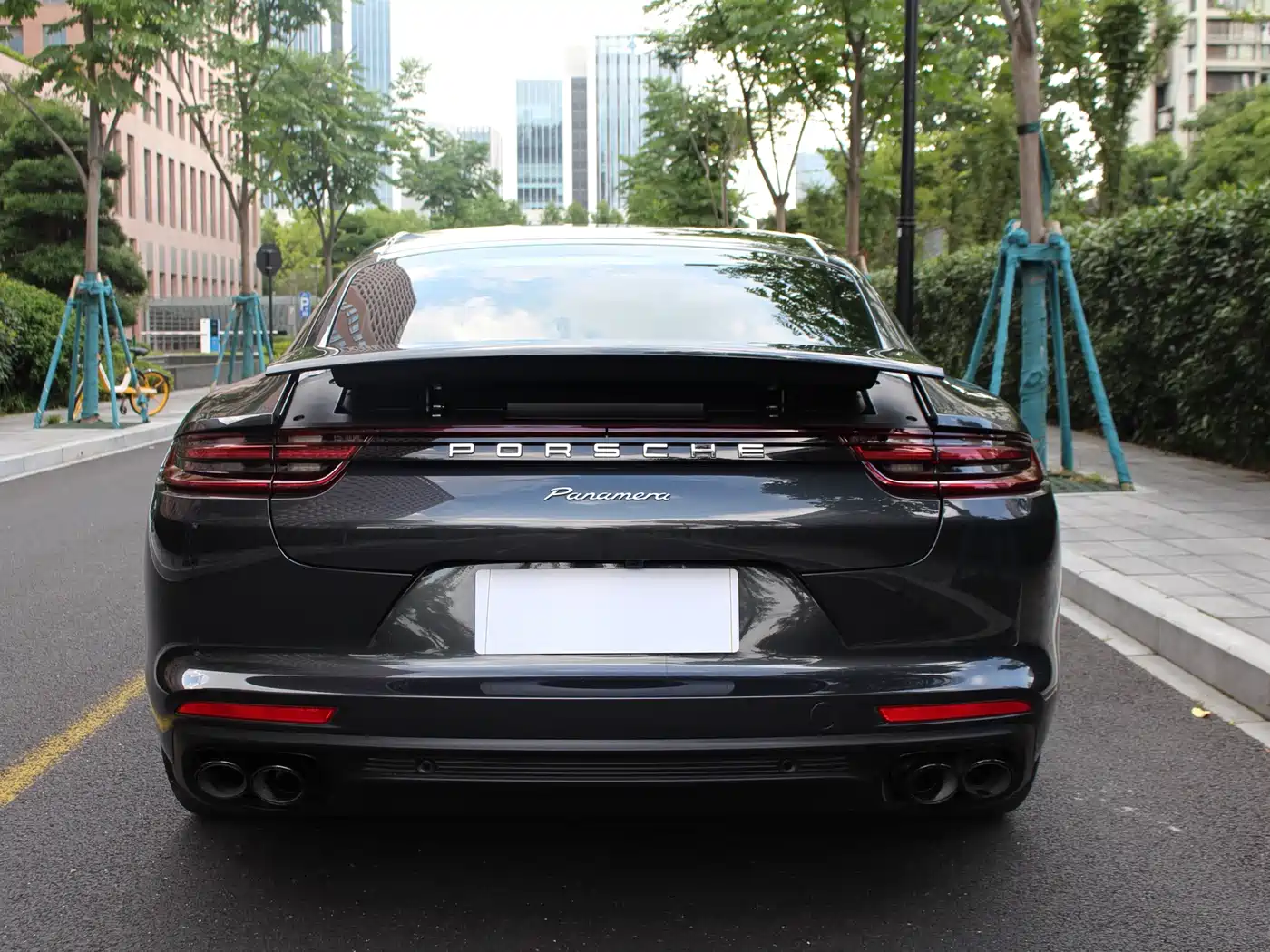 Porsche Panamera 2020 Panamera 10th Anniversary Edition 2.9T фото 20