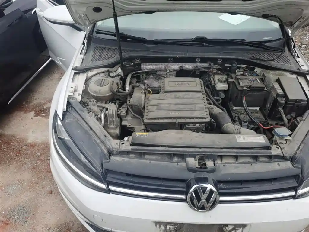 Volkswagen Golf 2018 1.6L Automatic Comfort фото 21