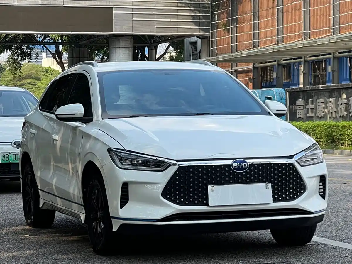 BYD e2 2020 2020 Upgraded Long Range Luxury