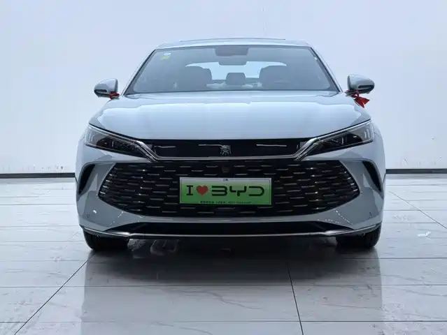 BYD QIN L
