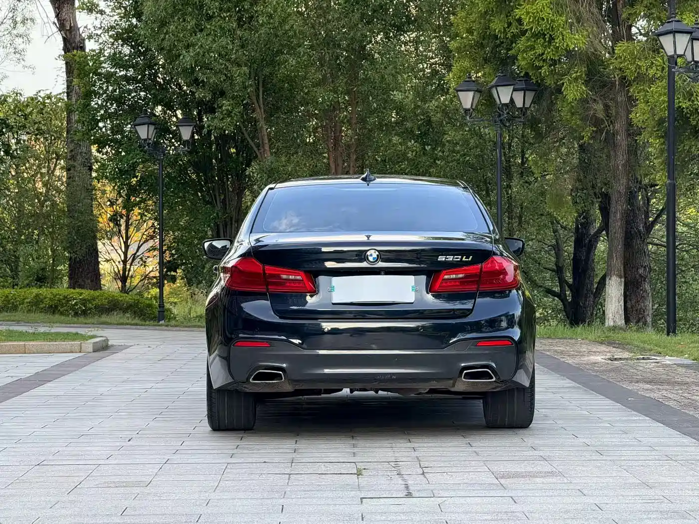 BMW 5 Series 2018 530Li Premium M Sport Package фото 9