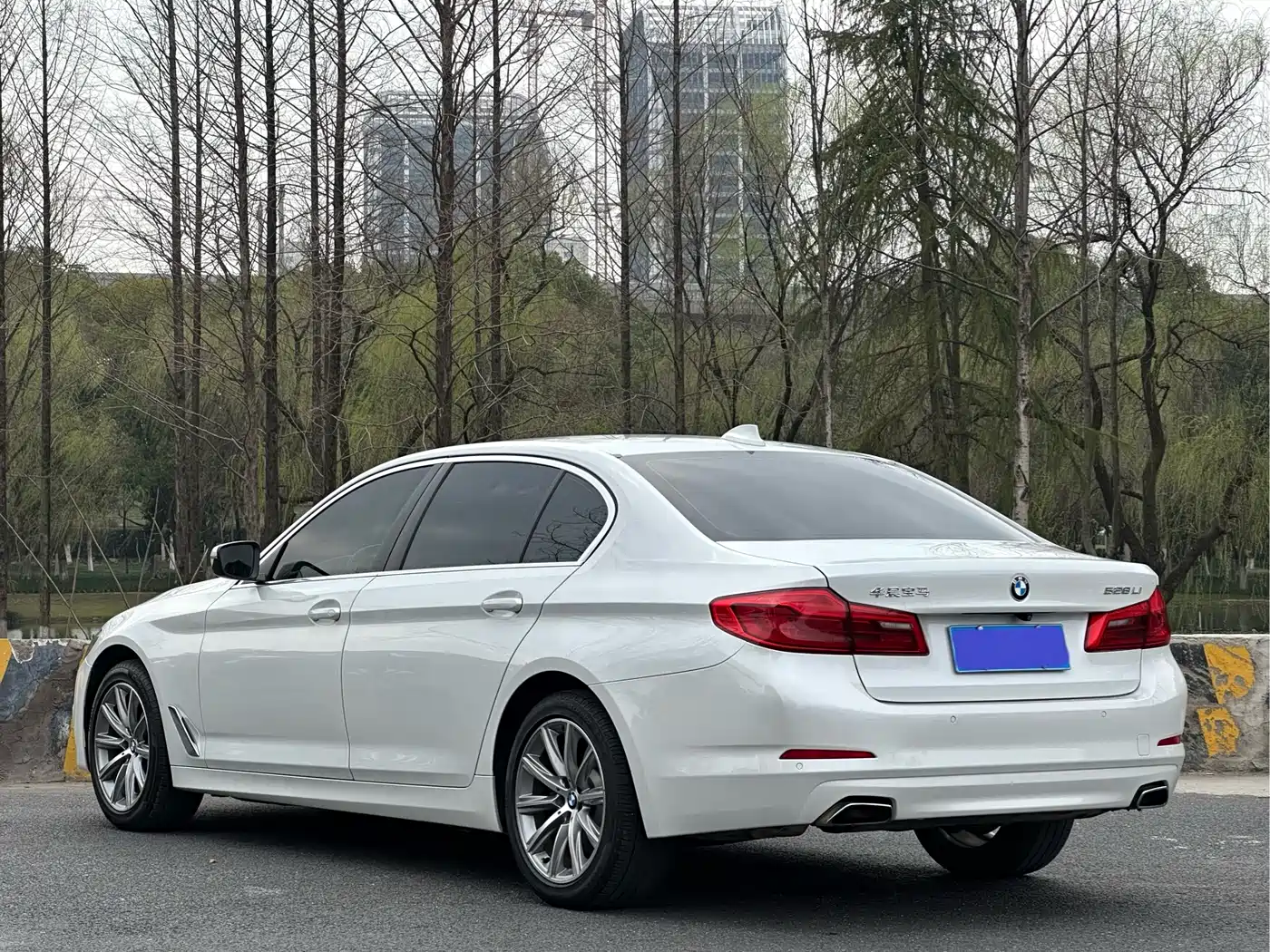 BMW 5 Series 2018 528Li Launch Special Edition фото 5