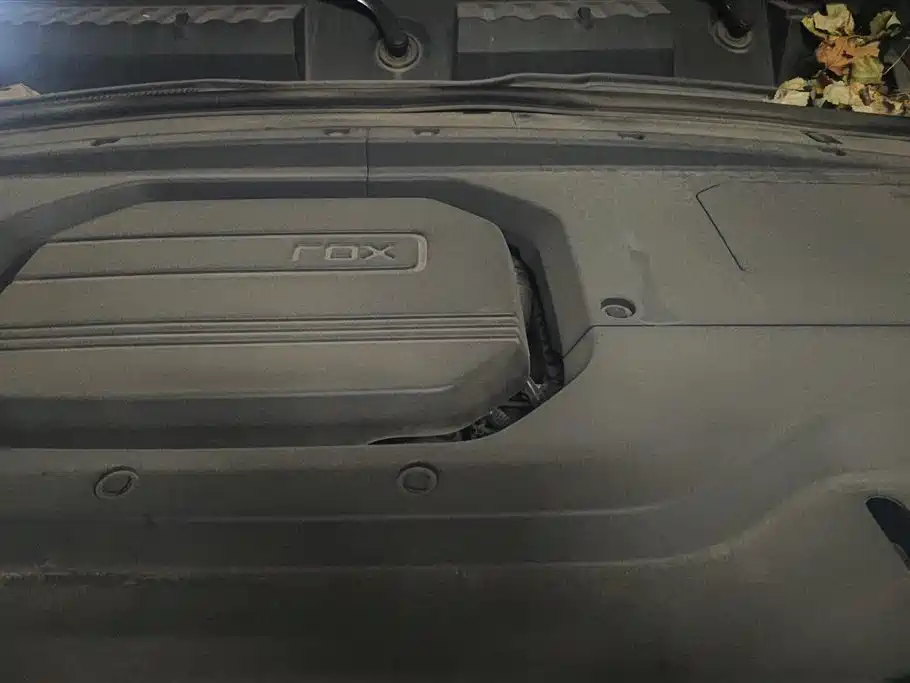 ROX POLAR STONE POLAR STONE 01