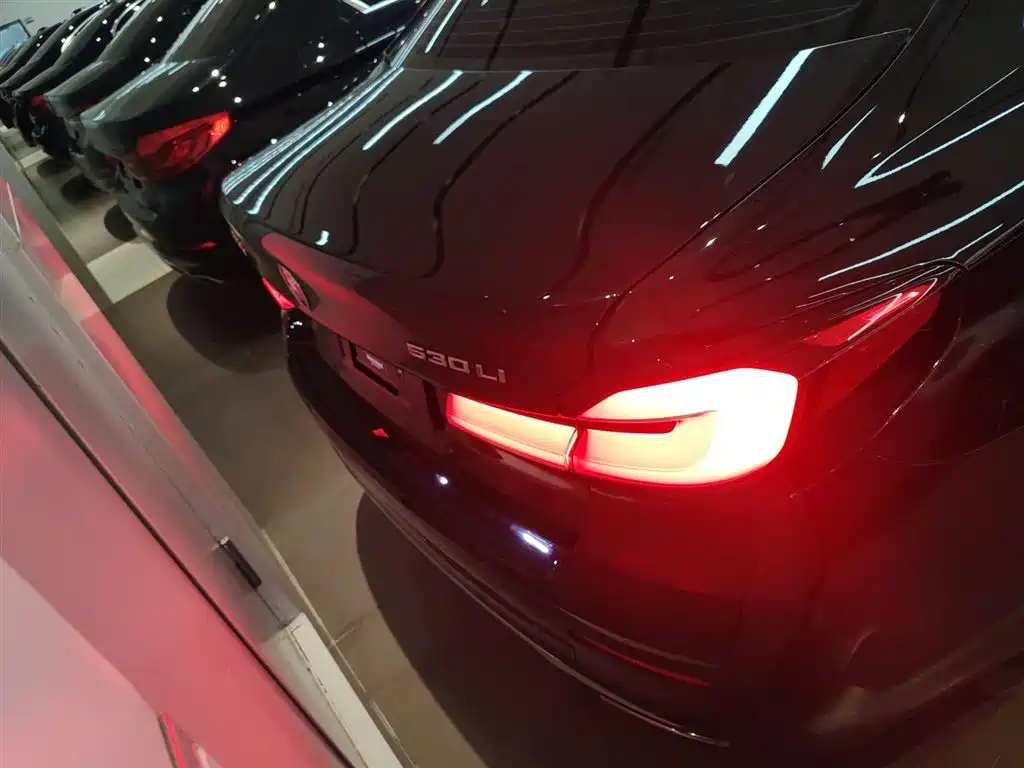 BMW 5 Series 2023 530Li Leading Luxury Package фото 4