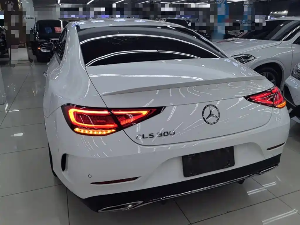 Mercedes-Benz CLS 2021 CLS 300 Luxury фото 5