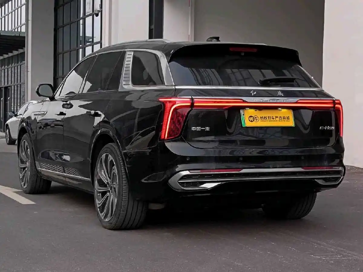Hongqi E-HS9 2022 660km Qi Ling Edition (4-seater) фото 4