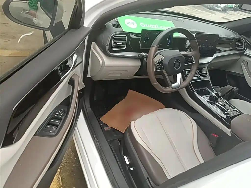 BYD Qin PLUS 2023 Champion Edition DM-i 55KM Surpassing фото 16