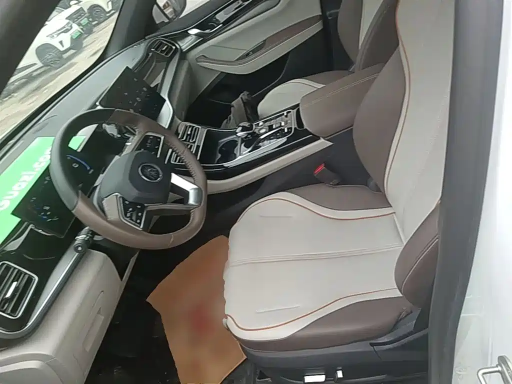 BYD Qin PLUS 2023 Champion Edition DM-i 55KM Surpassing фото 15