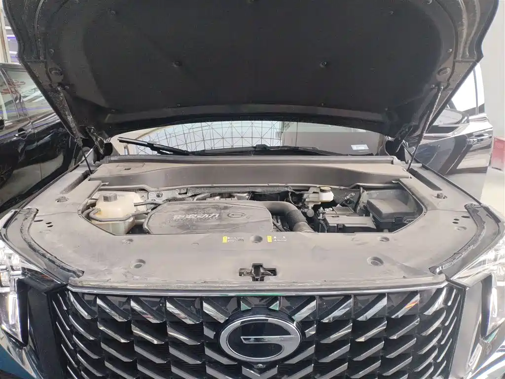 GAC Trumpchi Trumpchi GS8 2024 Navigator Series 2.0TGDI 2WD Luxury Smart Connect Edition фото 10