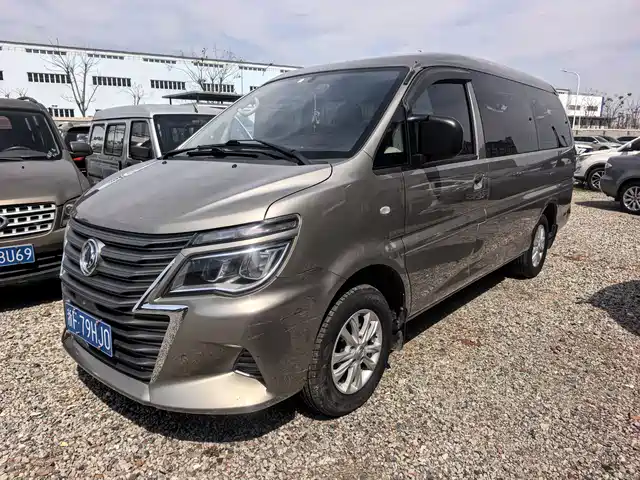 DONGFENG LINGZHI