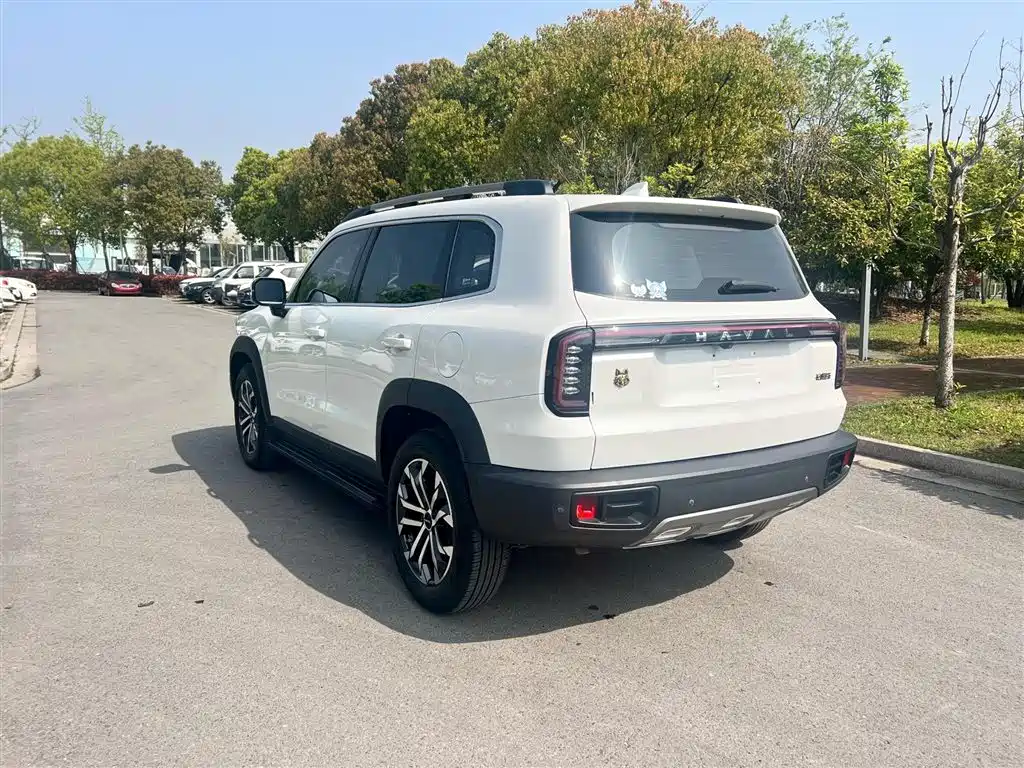 HAVAL BIG DOG