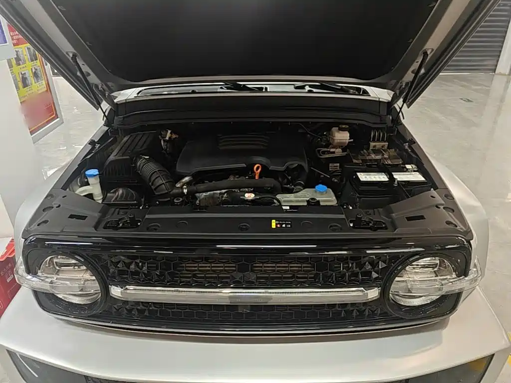 Crossboundary Auto Co-created Tank 300 2022 2021 2.0T Cyber Tank