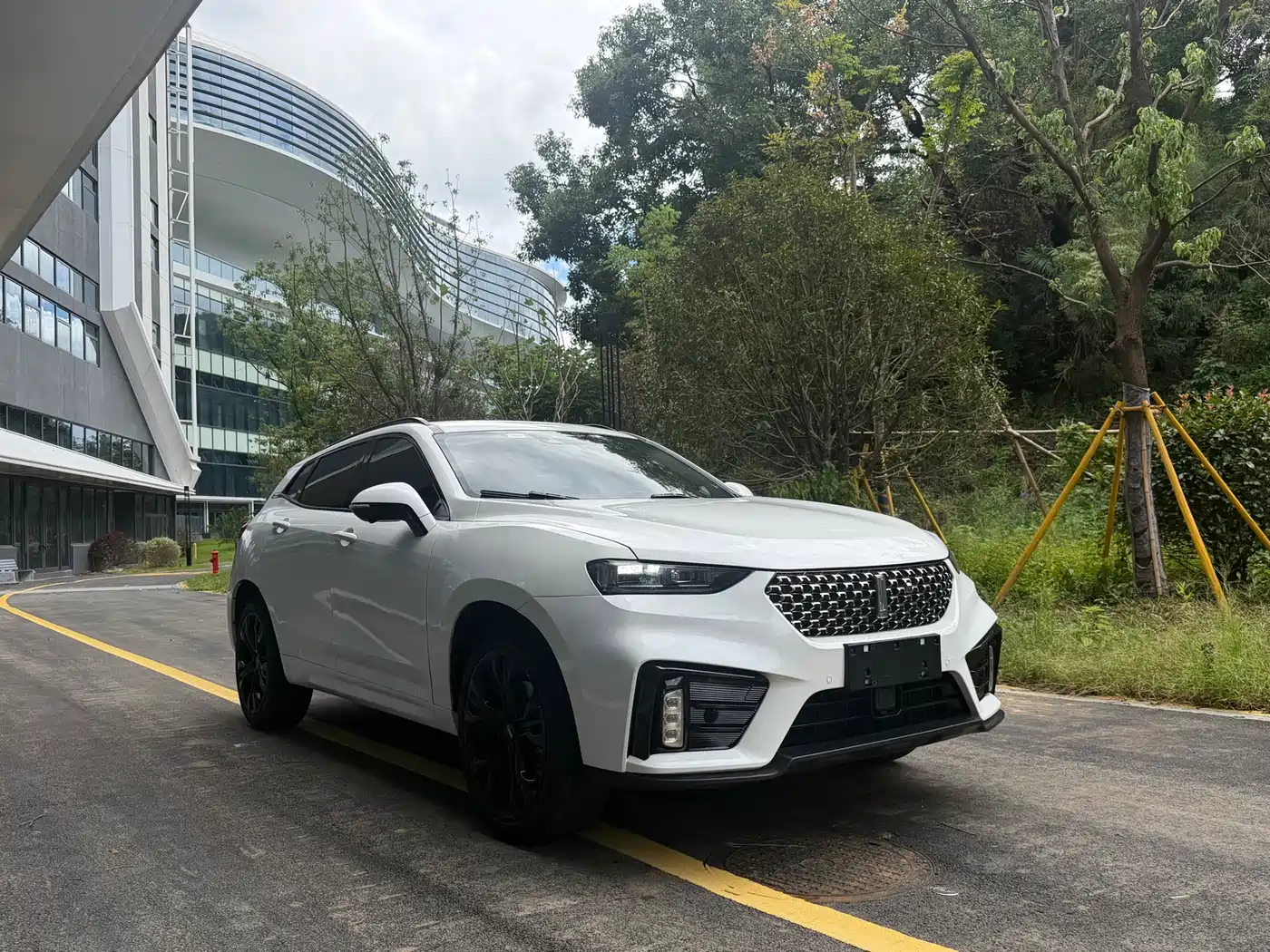 2020 WEY VV7