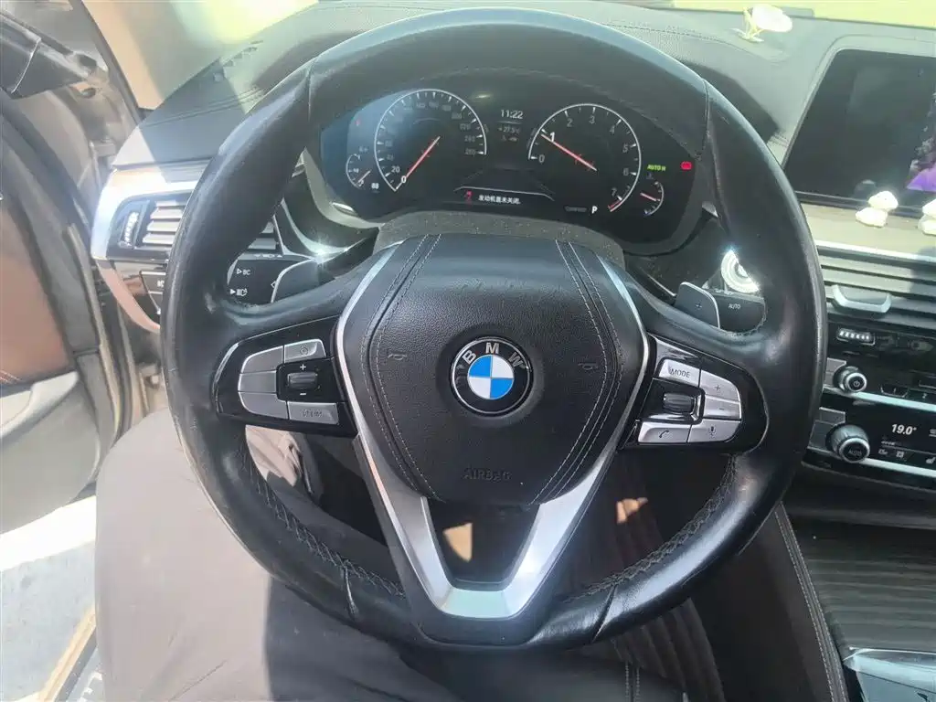 BMW 5 Series 2019 530Li Premium Luxury Package фото 7