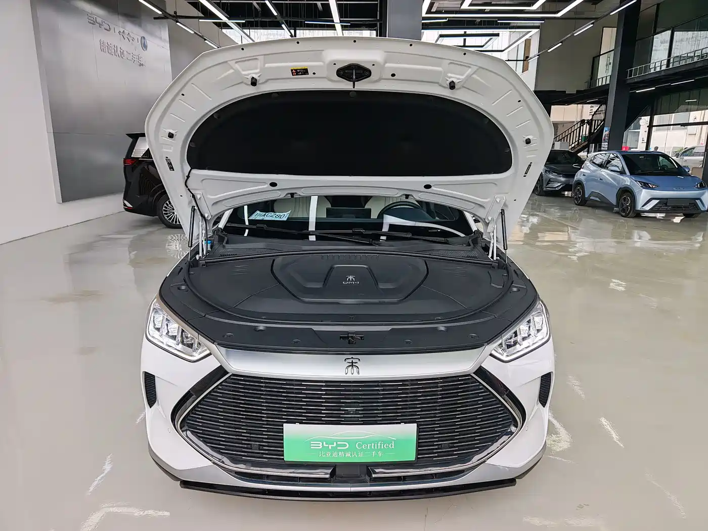 BYD Song PLUS PHEV 2021 2021 DM-i 110KM Flagship PLUS