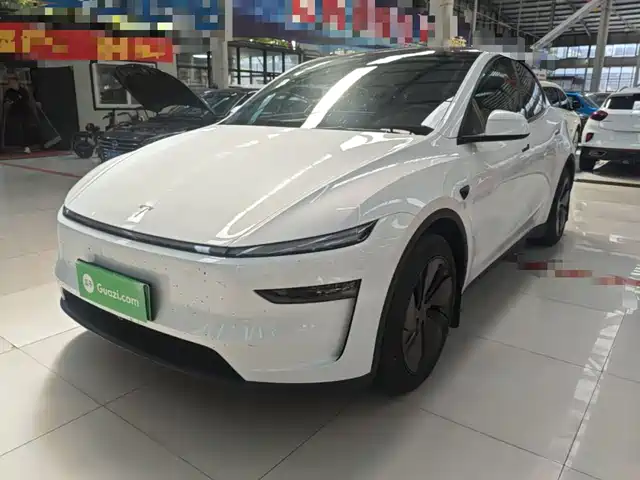 Tesla Model Y Задний привод