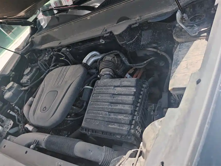 HAVAL RAPTORS NEW ENERGY