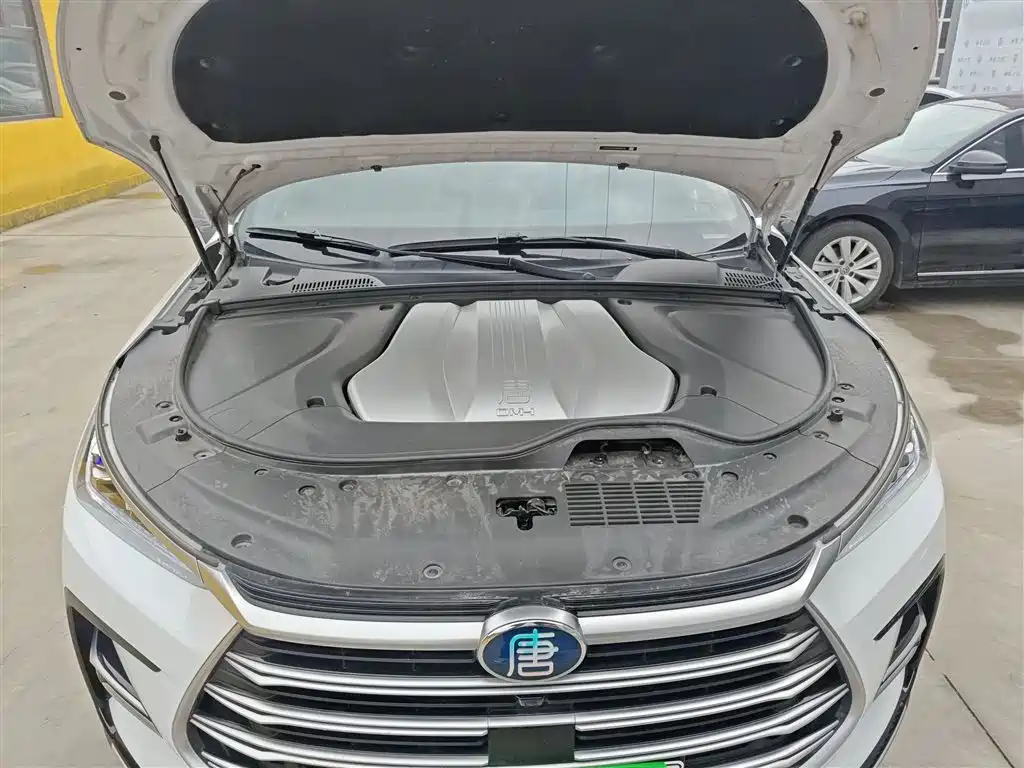 BYD Tang New Energy 2021 DM-i 112KM Honor фото 16