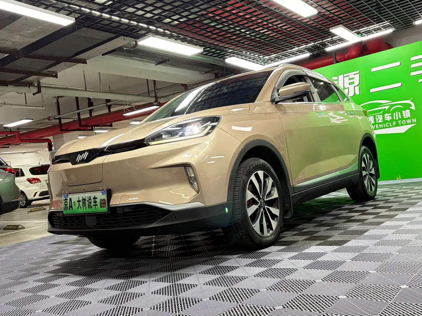 2020 Weltmeister EX5