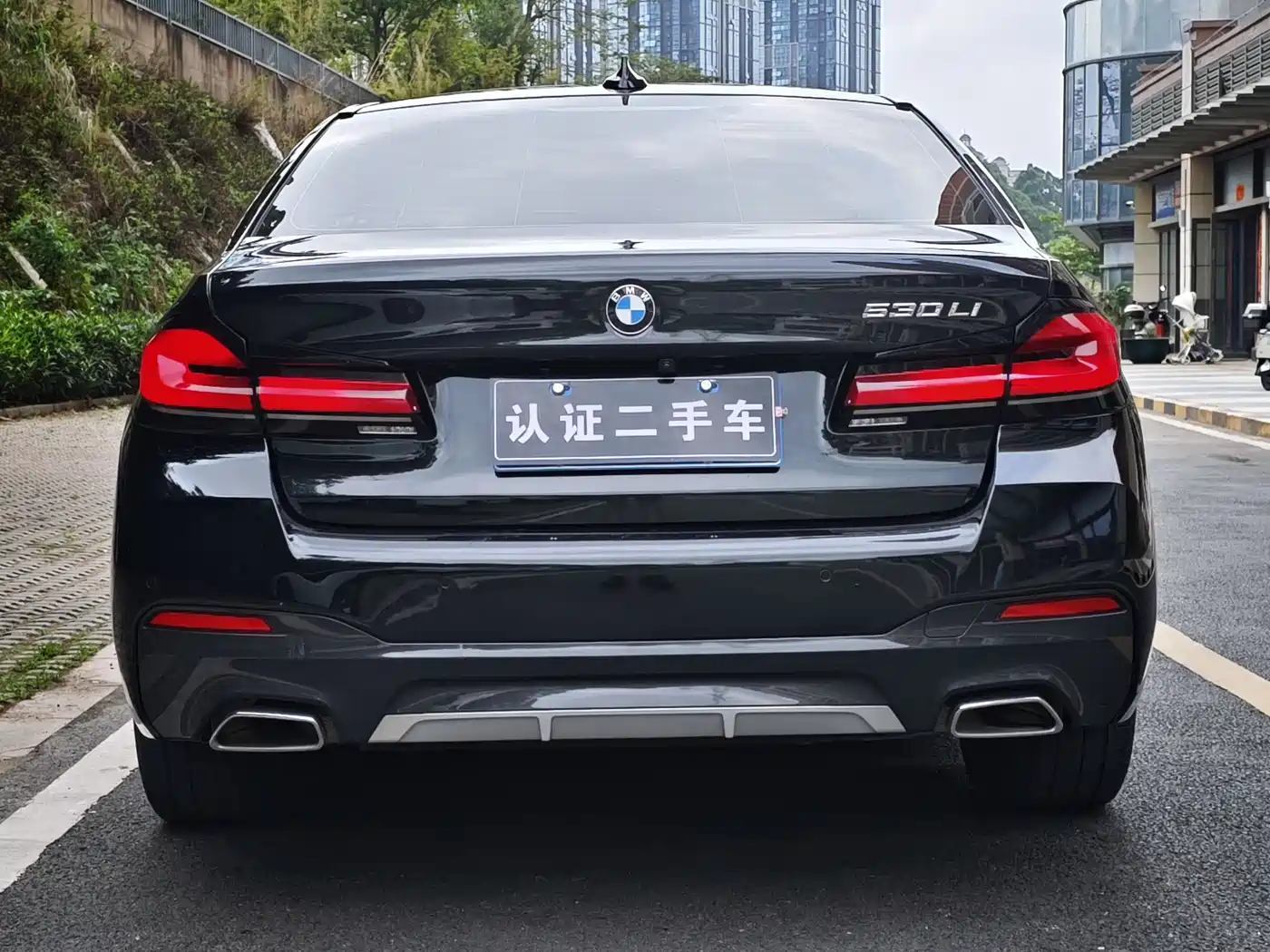 BMW 5 Series 2021 530Li Leading Luxury Package фото 6