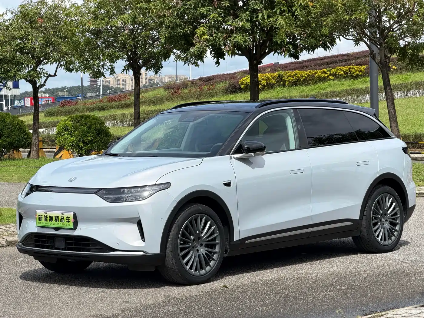 Leapmotor C11 2023 Pure Electric 500 Smart Edition