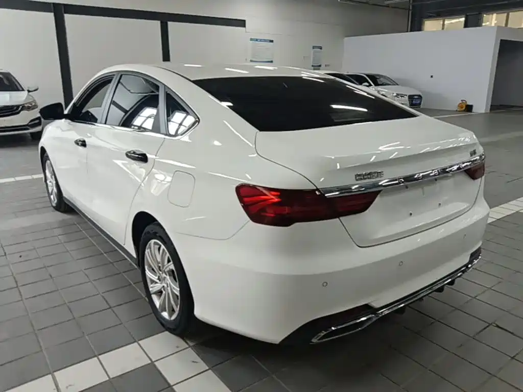 Фото 5 - Geely Binrui