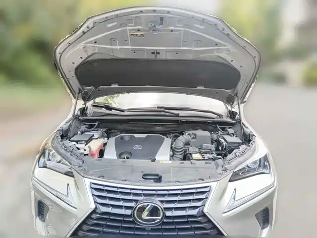 Lexus NX 2018 Model 200 AWD Fengshang Edition China V — фото 3