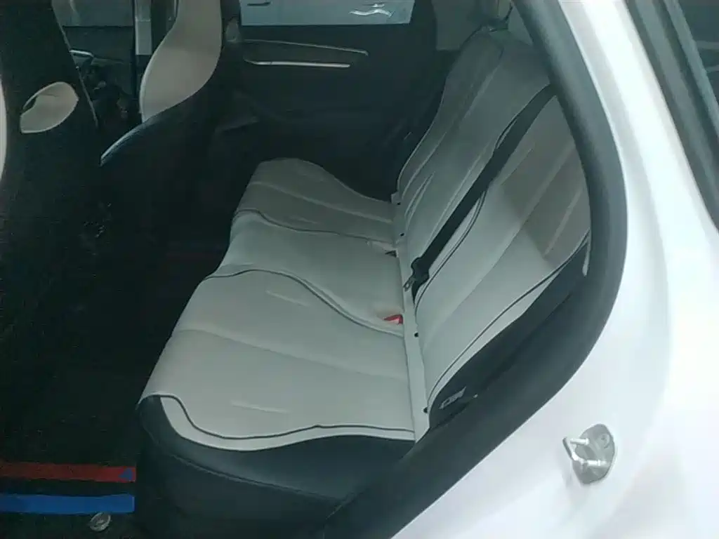 BYD Destroyer 05 2024 Glory Edition DM-i 55KM Luxury фото 17