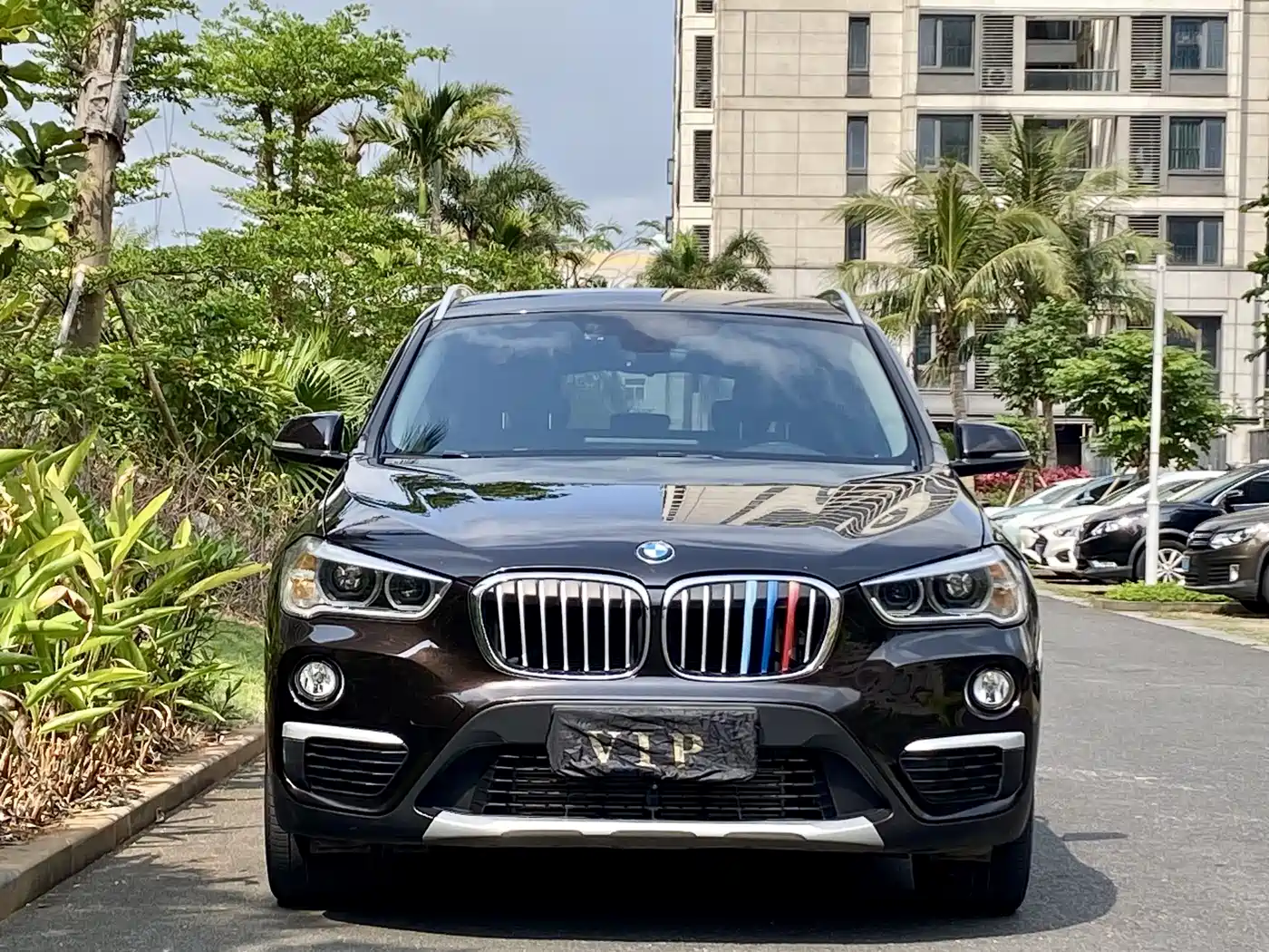 BMW X1 2018 xDrive20Li Luxury Model фото 2