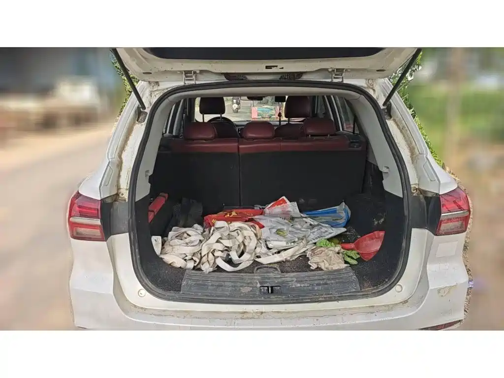 Фото 4 - Roewe RX5