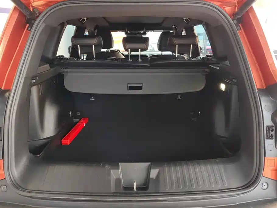 Haval Big Dog 2021 1.5T DCT 2WD Border Collie Edition фото 4