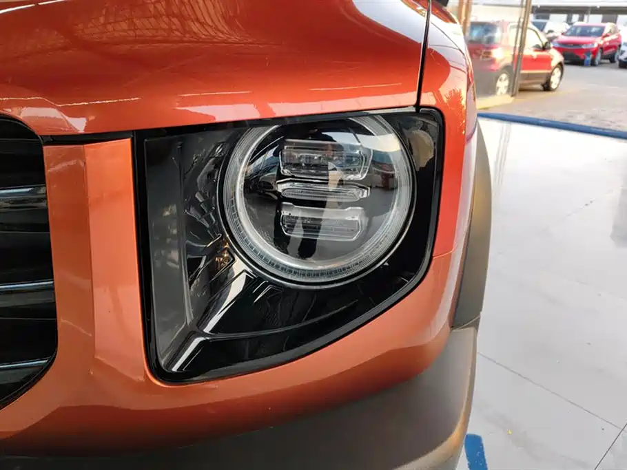 Haval Big Dog 2021 1.5T DCT 2WD Border Collie Edition фото 5