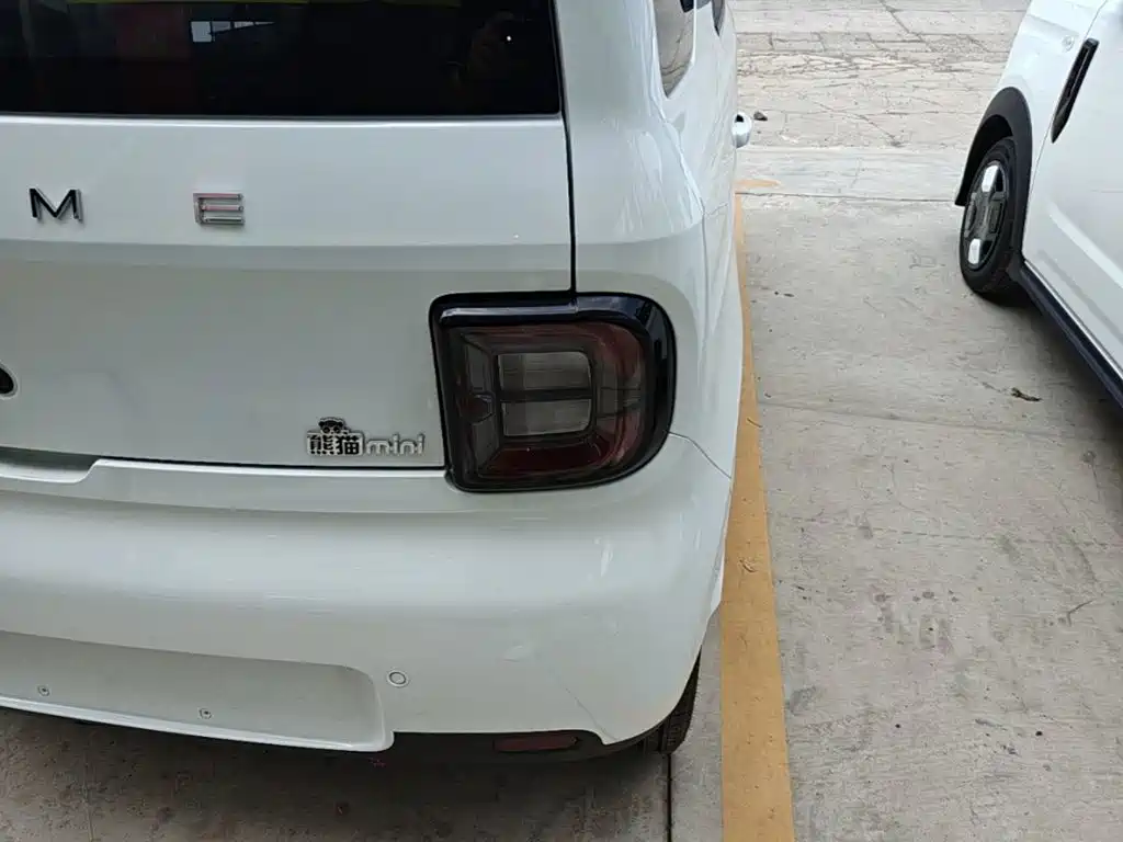 Geely Galaxy Panda 2026 2025 Panda mini 210km Vitality Bear
