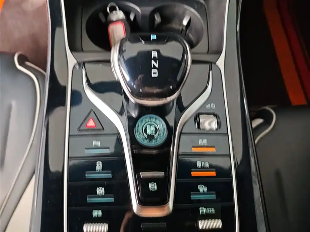 BYD Qin PLUS 2021 EV 500KM Luxury Model фото 14