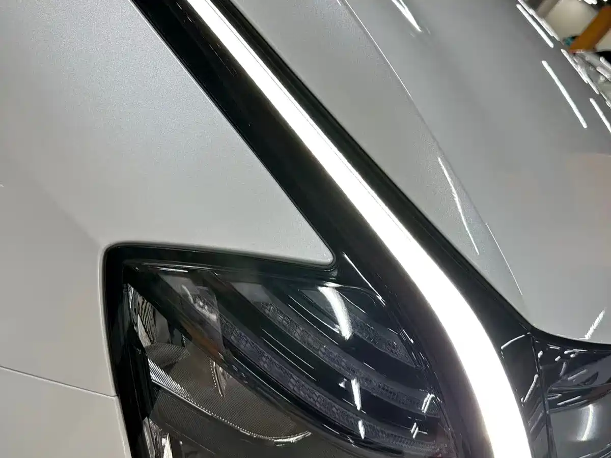 KIA LION PLATINUM EXPANDS THE WORLD