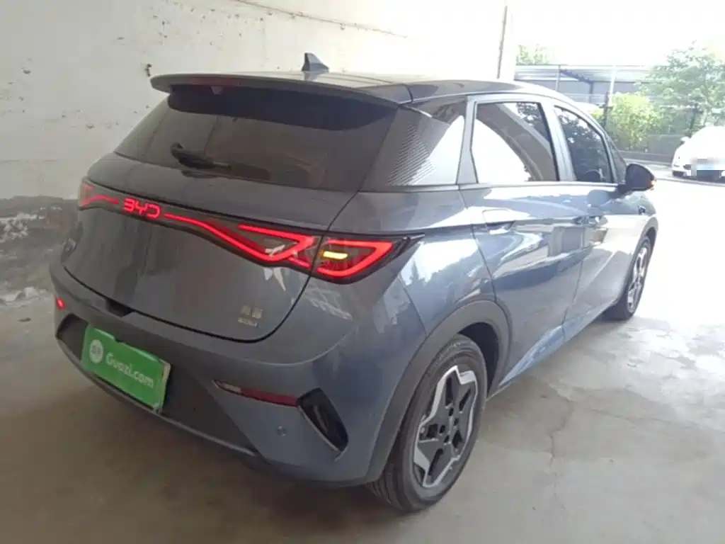 Фото 7 - BYD Dolphin