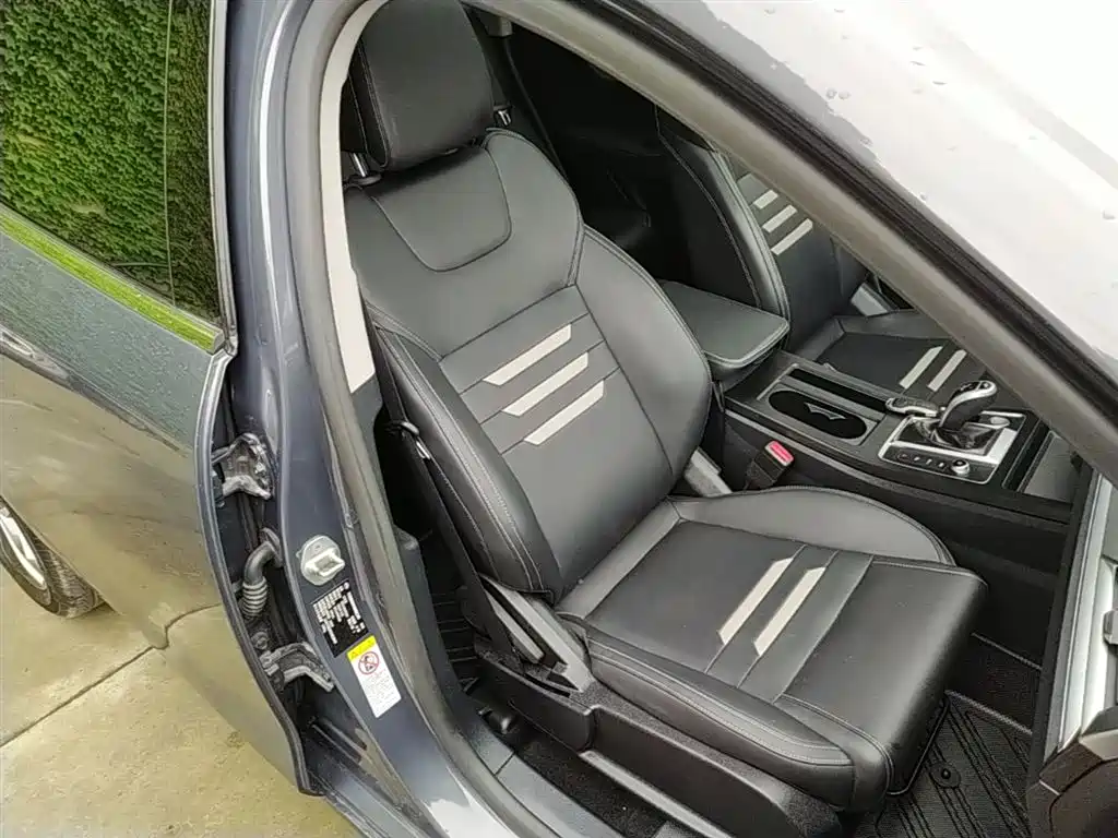 BYD Qin Pro 2020 Surpass Edition 1.5TI Automatic Flagship фото 25