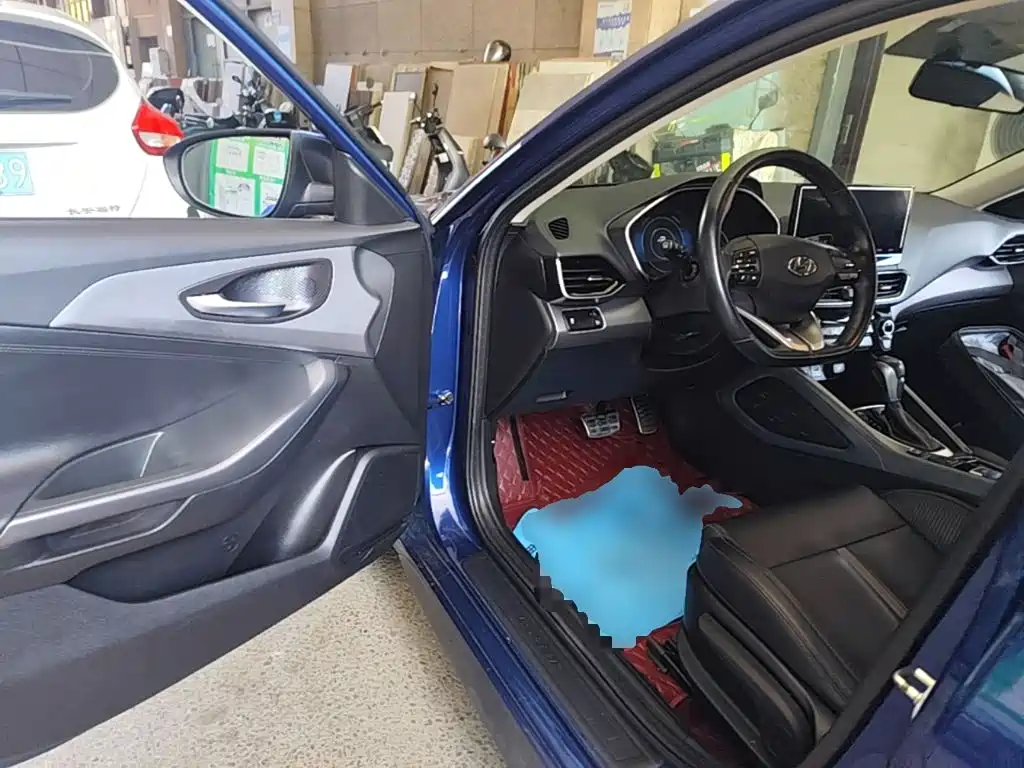 Photo 16 - Hyundai Lafesta