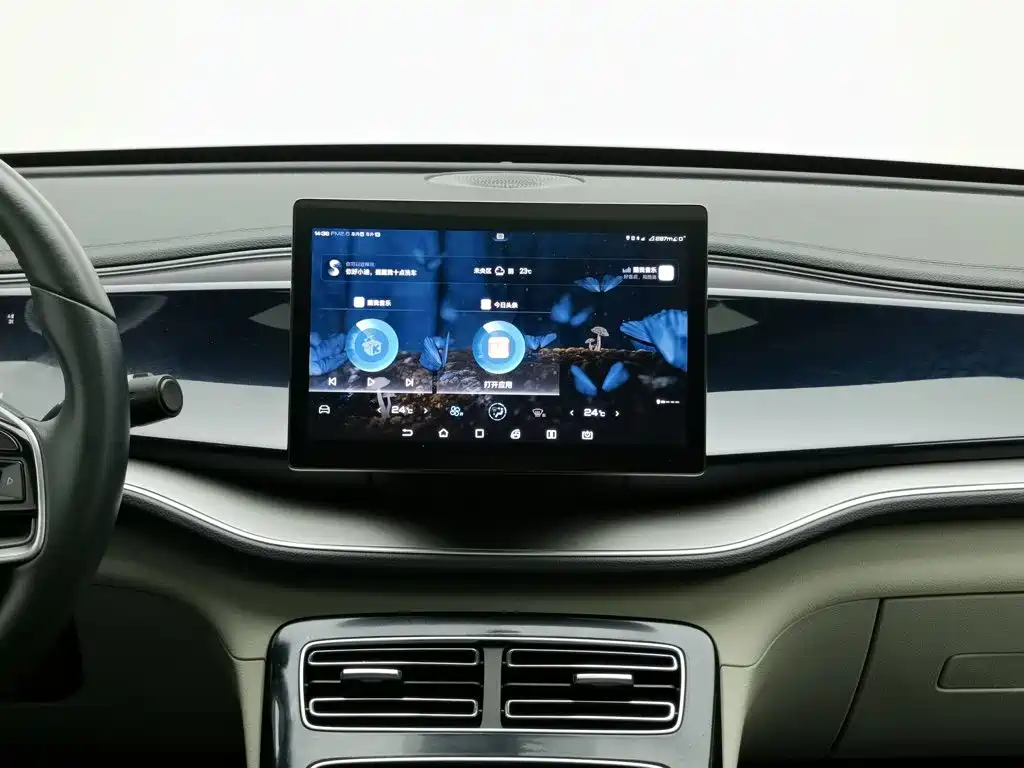 BYD Qin PLUS 2021 2021 EV 400KM Luxury Model